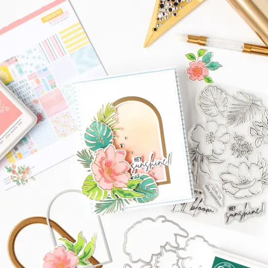 Pinkfresh Studio Die Set-Sunshine On My Mind {4}