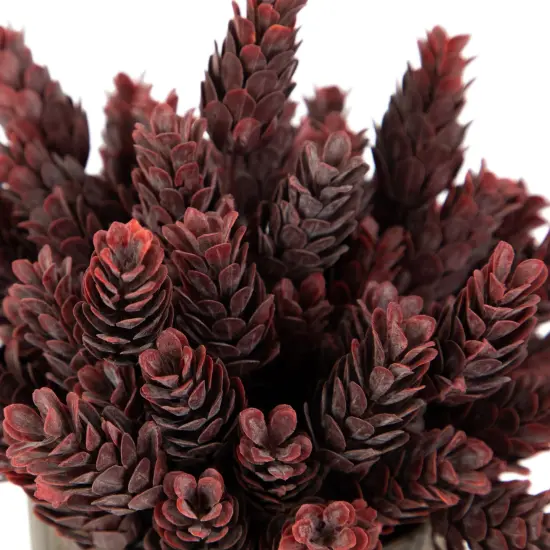 Northlight Wild Flower Artificial Plant in a Textured Lined Pot - 8" - Burgundy Red {7}