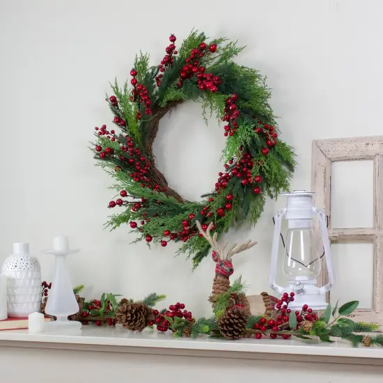 Northlight Mixed Pine and Berries Artificial Christmas Wreath - 26 inch, Unlit Green {3}