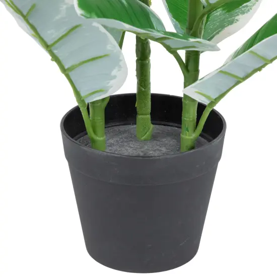 Northlight 34" Potted Green Artificial Rubber Plant {6}