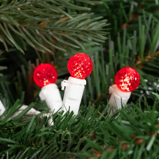 Northlight LED G12 Berry Christmas Lights - Red - 16' White Wire - 50 ct {3}
