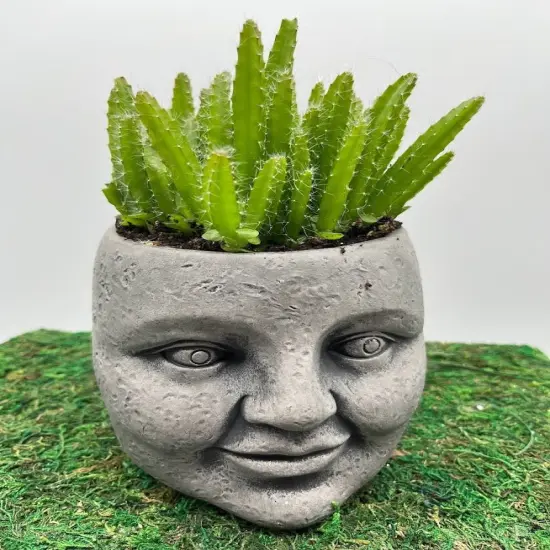 Whimsical "Face" Planter {2}