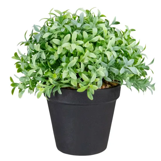 Northlight 7.5" Potted Green Artificial Boxwood Plant {1}