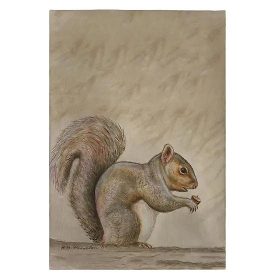 Betsy Drake Squirrel Guest Towel {1}