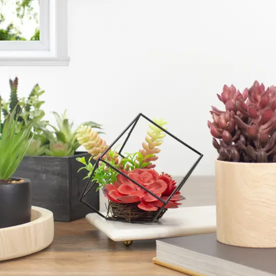 Northlight 5.5" Artificial Succulent Arrangement in Black Metal Wire Frame Red {3}