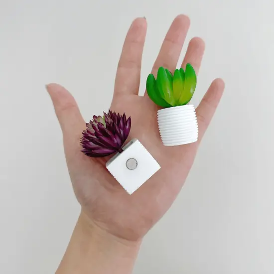 Wrapables 3D Resin Fridge Magnets, Food Simulation, Succulents, Famous Faces Refrigerator Magnets for Kitchen (Set of 5) {5}