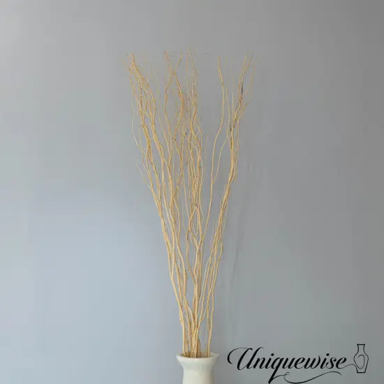 Uniquewise 12 pcs Natural Decorative Dry Branches Authentic Sticks, Home Decoration and Wedding Craft, DIY Greenery Plants Craft Vases fillers Garden Hotel Farmhouse Decor {4}