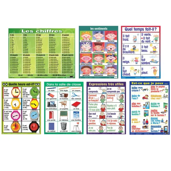 French Essential Classroom Posters Set I {1}