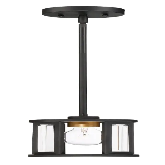Payne 1-Light Mini-Pendant Mounted Pendant Light Fixture in Black Finish {1}
