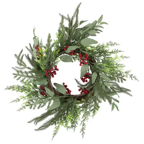 Northlight Mixed Foliage and Red Berries Artificial Christmas Wreath, 24-Inch, Unlit Green {1}