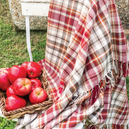 Samuel Plaid Woven 50" x 60" Throw Blanket with Fringe {4}