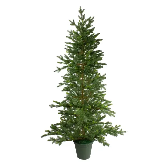 Northlight Real Touch™️Potted Noble Pine Slim Artificial Christmas Tree - 6' - Unlit Green {1}