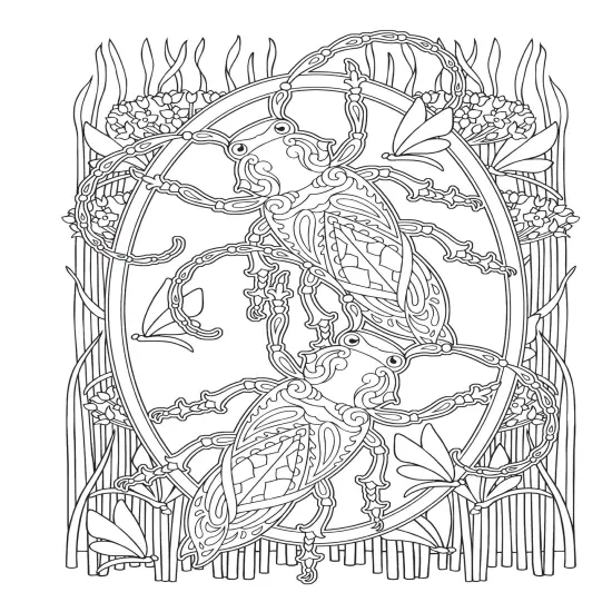 Creative Haven: Incredible Insect Design Coloring Book-Softcover {3}