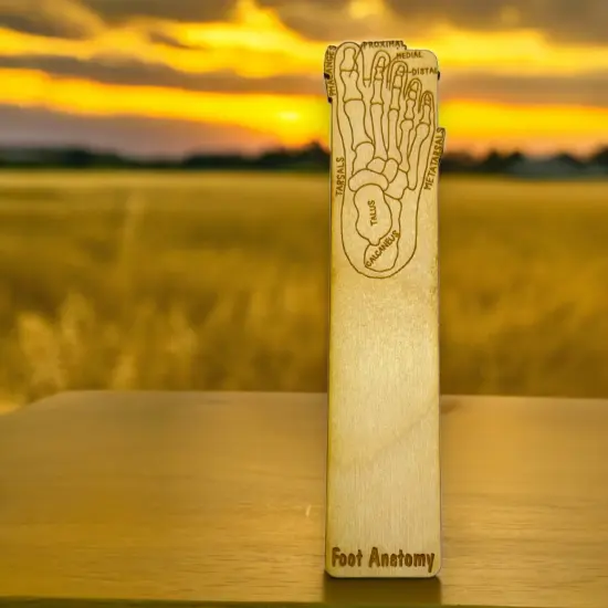 Bookmark - Foot Anotomy - Birch wood {2}