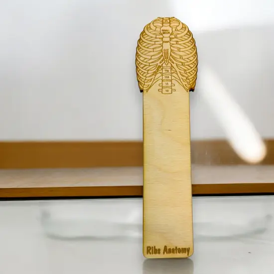 Bookmark - Ribs Anatomy - Birch wood {4}