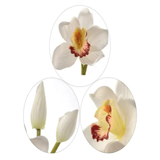 Set of 2 Cream Orchid Stems 30" Real Touch by Floral Home {4}