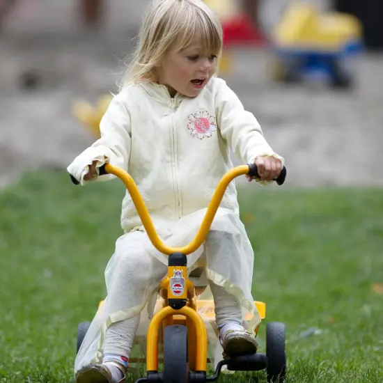 Tricycle with Tray {6}