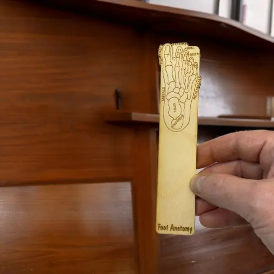 Bookmark - Foot Anotomy - Birch wood {6}