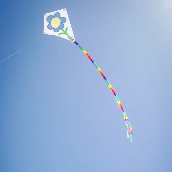 In the Breeze Coloring Diamond 20 Inch Kite - Single Line - Ripstop Fabric Kite - Includes Crayons, Kite Line and Bag - Creative Fun for Kids and Adults {4}