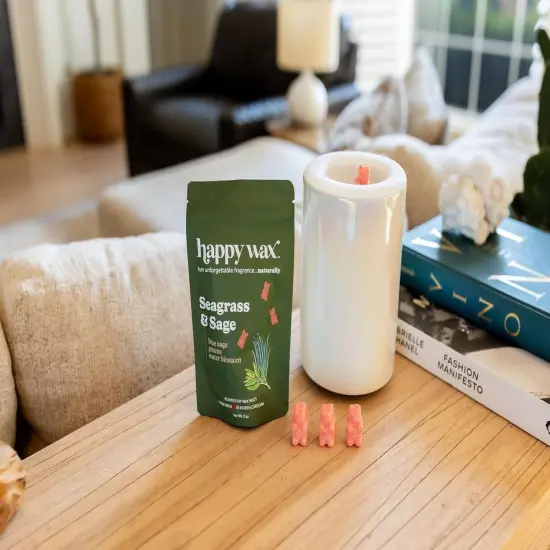 Spa Mix Premium Scented Natural, Non Toxic Soy Wax Melts – 6 Total Oz. of Scented Wax Melts. Includes: Seagrass & Sage, Calming Lavender Chamomile, and Eucalyptus Spearmint Citrus Mix {7}