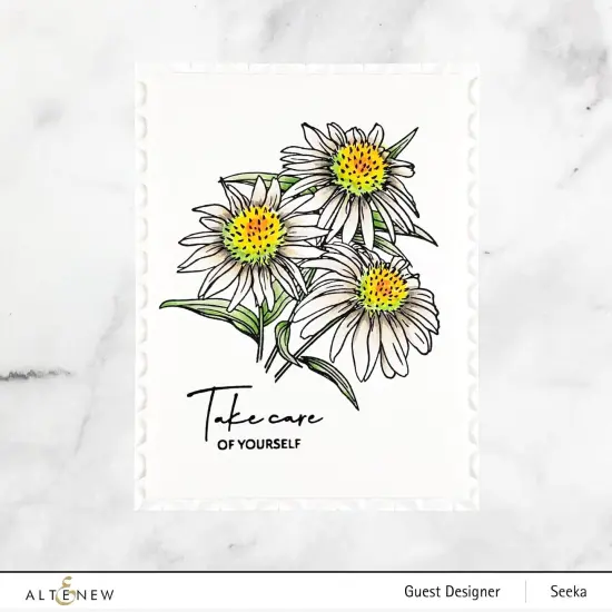 Paint-A-Flower: White Swan Echinacea Outline Stamp Set {5}