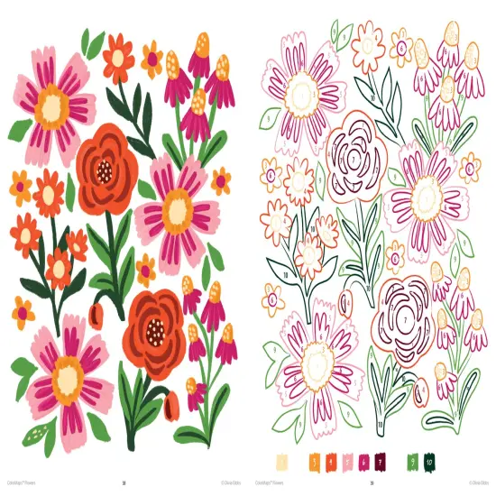 ColorMaps Flowers: Color-Coded Patterns Adult Coloring Book {2}