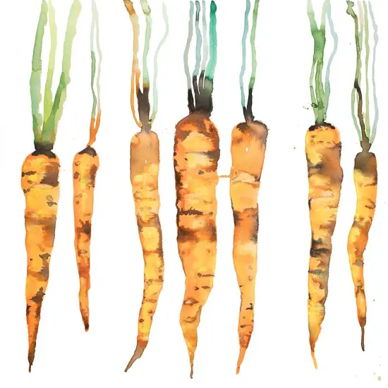 FRESHLY PICKED CARROTS Poster Print by Atelier B Art Studio - Item # VARPDXBEGGAS107 {1}