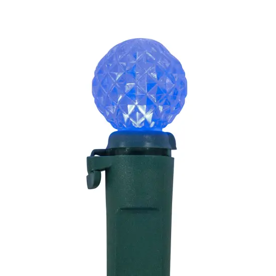 Northlight LED G12 Berry Christmas Lights - Multicolor - 16' Green Wire - 50ct {7}