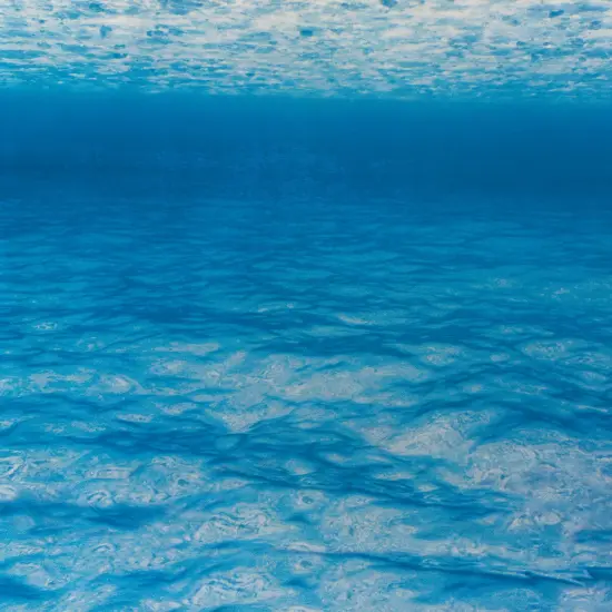 Fadeless Design Roll - 48" x 50 ft, Under Sea {1}