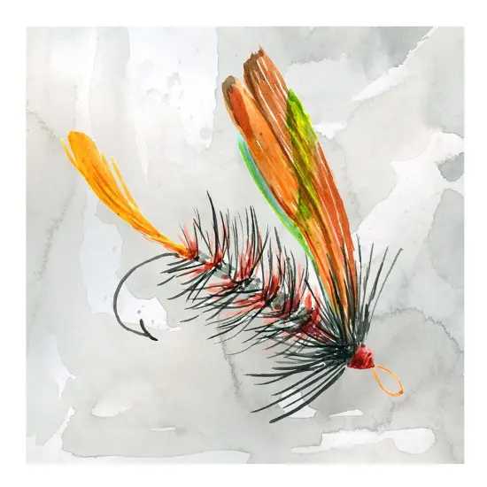 Fly Hook II Poster Print by Carol Robinson - Item # VARPDX40884 {1}