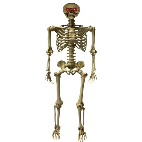 Deluxe 5' Posable Skeleton With LED Eyes Decoration {1}