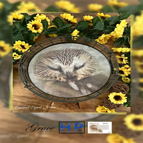 Owlie the Owl - Decoupage & Mixed Media Art Paper (large) {2}