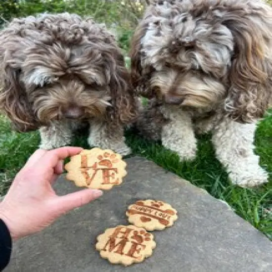 Puppy Love Cookie Stencil Set | C1080 by Designer Stencils | Stencils for Royal Icing, Airbrush, Dusting Powder | {4}