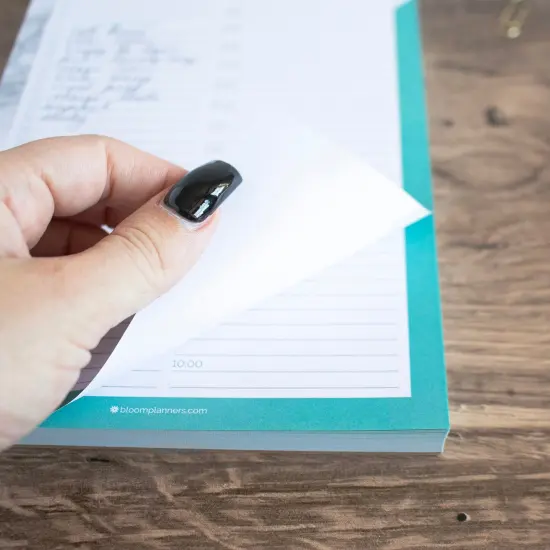 bloom daily planners Planning Pad, 6" x 9", Timed Daily Pad, Marble & Mint {4}