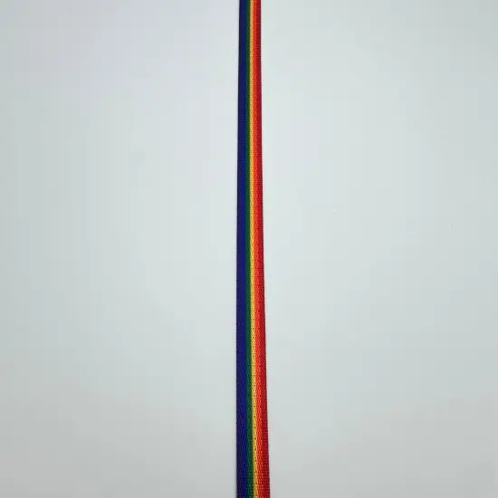 Rainbow stripe 1/2&rdquo; Seatbelt Webbing {1}