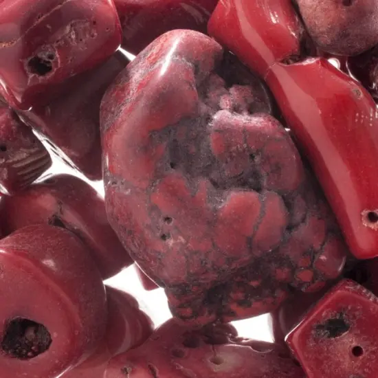 Earth's Jewels Red Bamboo Coral Dyed Natural Stone Bead Assortment {2}