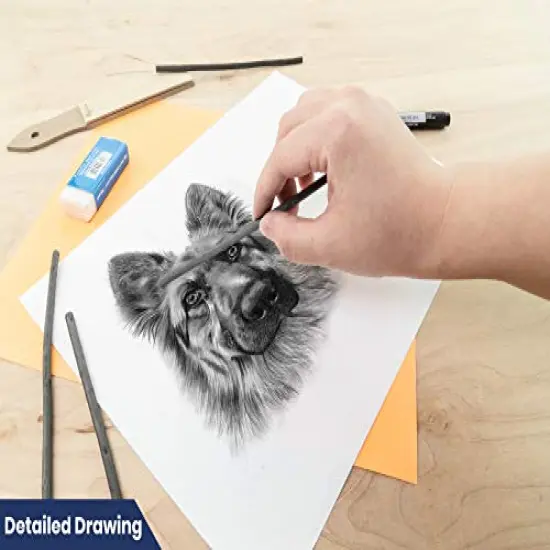 Artist Charcoal, Medium, Black 4 Charcoal Sticks for Drawing, Sketching, and Fine Art {3}