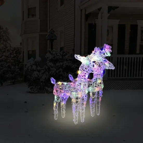 2 pcs Christmas Reindeers with 80 LEDs Acrylic Multicolour {1}