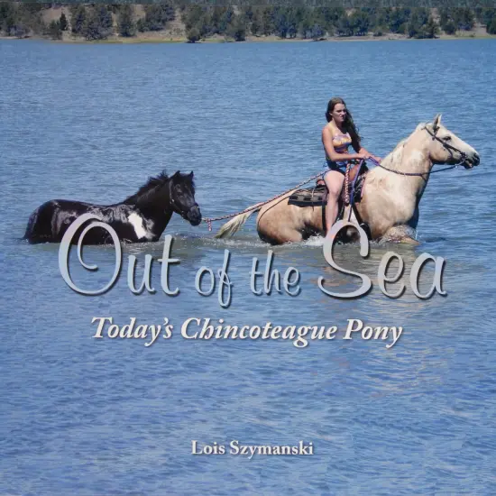 Out of the Sea, Today&rsquo;s Chincoteague Pony {1}