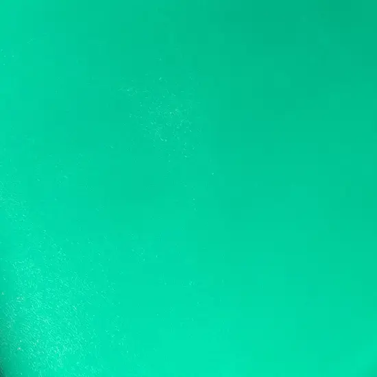 Spearmint Solid Vinyl {1}