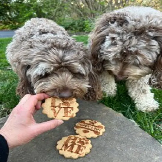 Puppy Love Cookie Stencil Set | C1080 by Designer Stencils | Stencils for Royal Icing, Airbrush, Dusting Powder | {5}