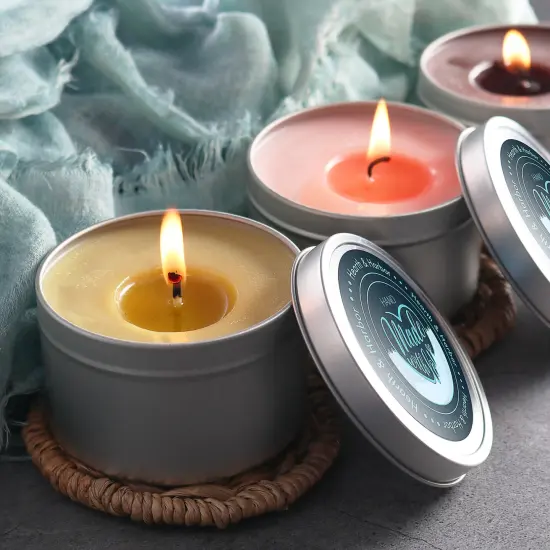 Hearth & Harbor Stainless Steel Candle Tins with Lids {5}