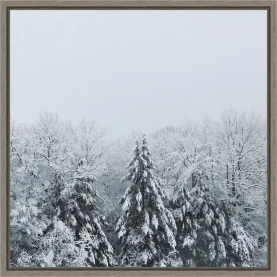 Snowshoe Hill Deep Crop by Sue Schlabach Framed Canvas Wall Art {1}