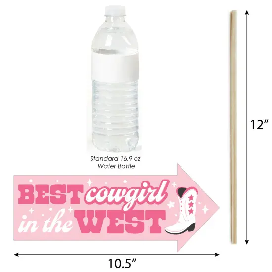 Big Dot of Happiness Funny Pink First Rodeo - Cowgirl 1st Birthday Party Photo Booth Props Kit - 10 Piece {4}