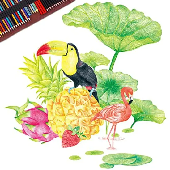 Heshengping Sketch & Drawing Art Pencil Kit-50 Piece Set, Include 24 Color Pencil(For Adult Kid Coloring Books) & Graphite Charcoal-Pencil Etc., Art Supply Ideal for Adult, Kid,Student, Beginner {4}