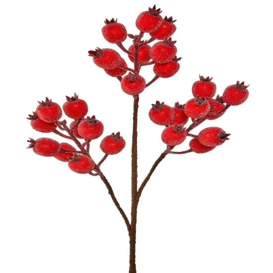 24" ICEY WATERPROOF POMEGRANATE BERRY SPRAY {1}