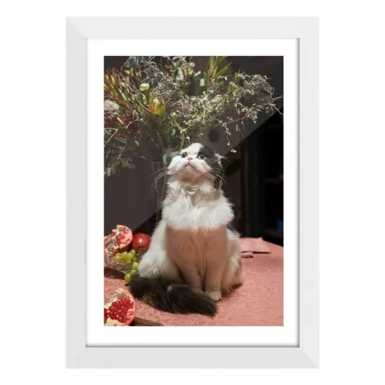 Solid Wood Picture Frame Lot for Wall or Desktop {1}