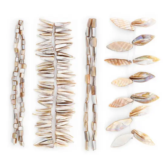 Magnolia Sea Shell Beads Collection Value Pack {1}