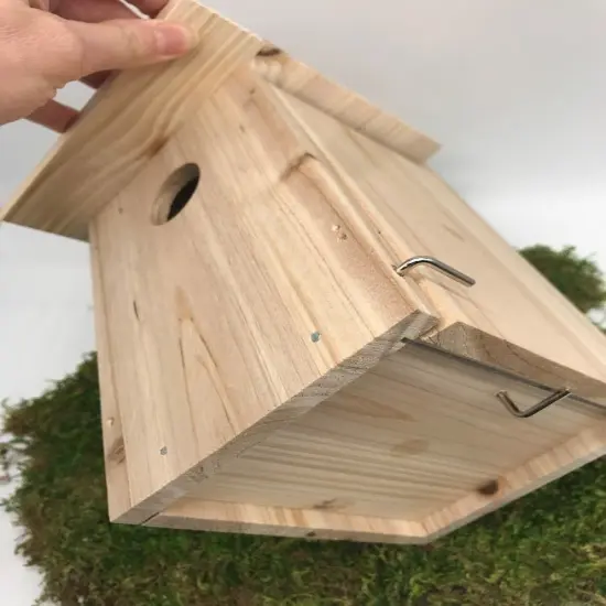 Kids DIY Birdhouse Kit - Inside Viewing Window {4}