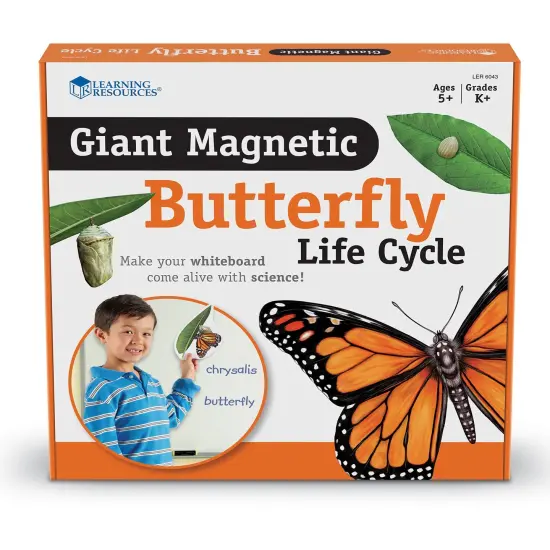 Giant Magnetic Butterfly Life Cycle, Set of 9 {1}